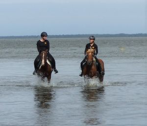 Reiter erfrischen sich mit ihren Pferden im Wasser