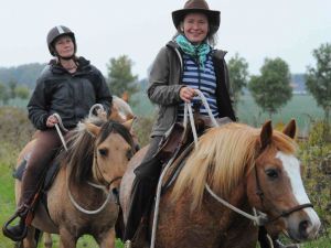 Reiterinnen reiten ihr Pferd nur mit Strick und Knotenhalfter