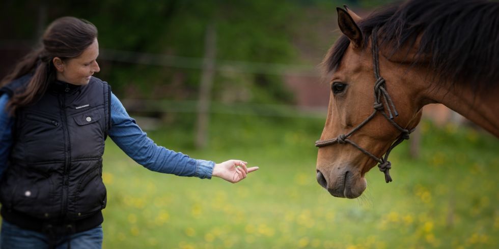 Vertrauensbildung von Mensch und Pferd