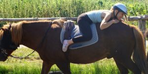 Pferd und Gesundheit