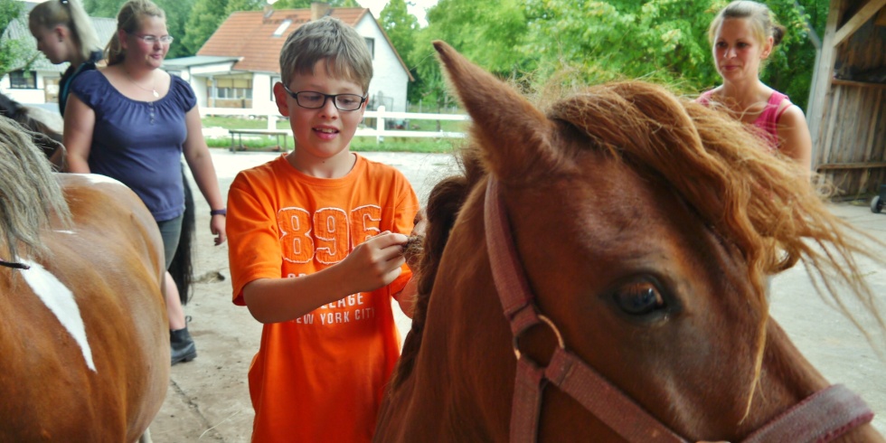 Kinder werden an das Pferd als Lebewesen und Reittier herangeführt.