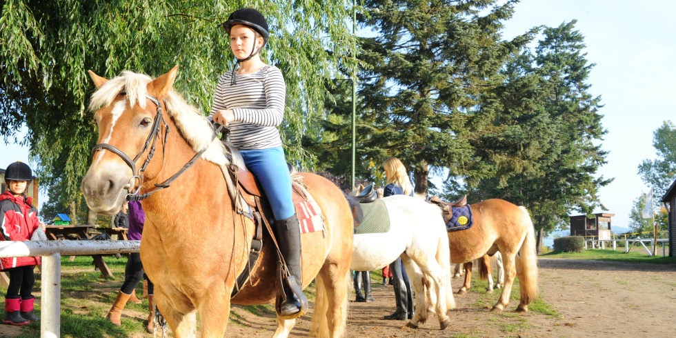 Ein Mädchen nimmt Anfängerreitunterricht und übt das Anreiten mit dem Pferd
