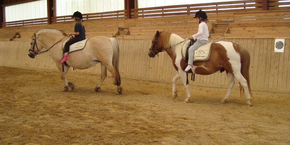Kinder lernen das Reiten auf Ponys