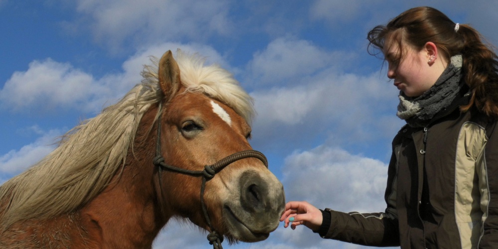 Zärtliche Momente zwischen Mensch und Pferd