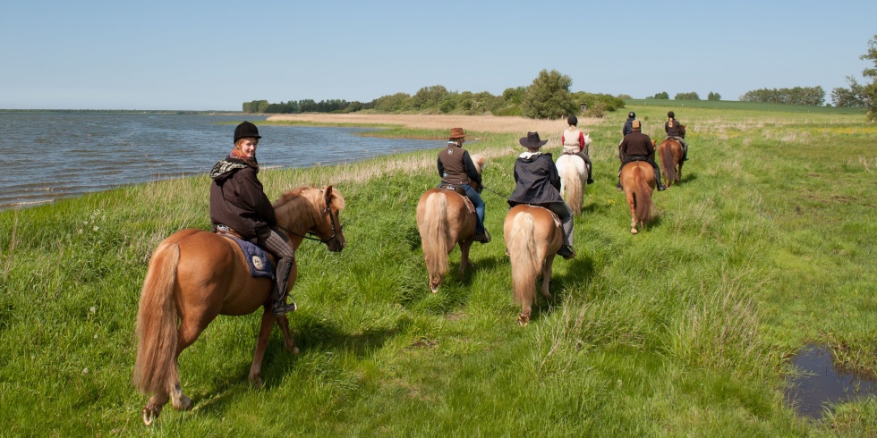 Eine Reitergruppe zur Zeit der Sommersonnenwende