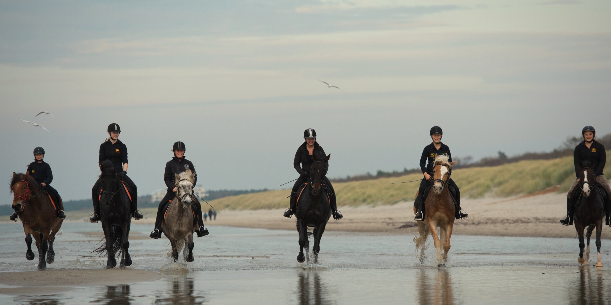 Eine Gruppe von Reiterinnen reitet am Ostseestrand