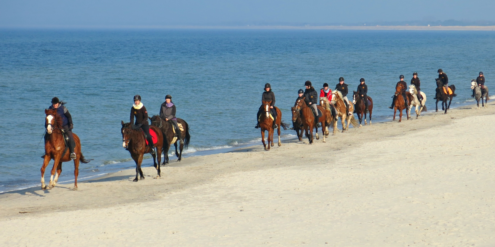 Eine Gruppe Reiter reitet am Ostseestrand